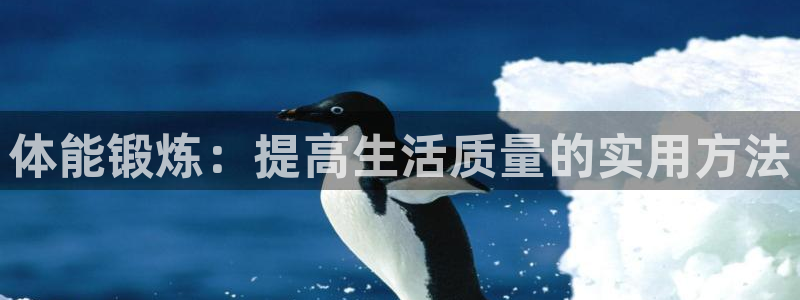 xc体育app官方网站