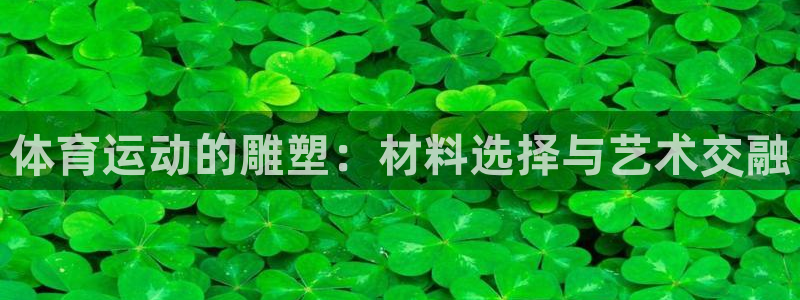 xc体育app官方网站