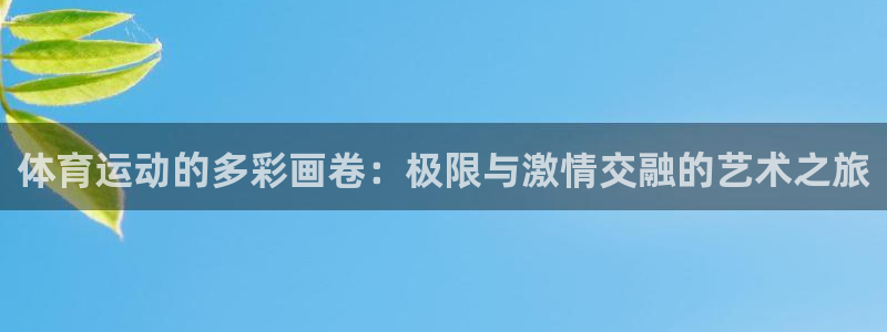 xc体育app官方网站：体育运动的多彩画卷：极限与激情交融的艺术之旅
