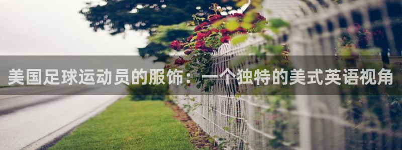 xc体育app官方网站：美国足球运动员的服饰：一个独特的美式英语视角