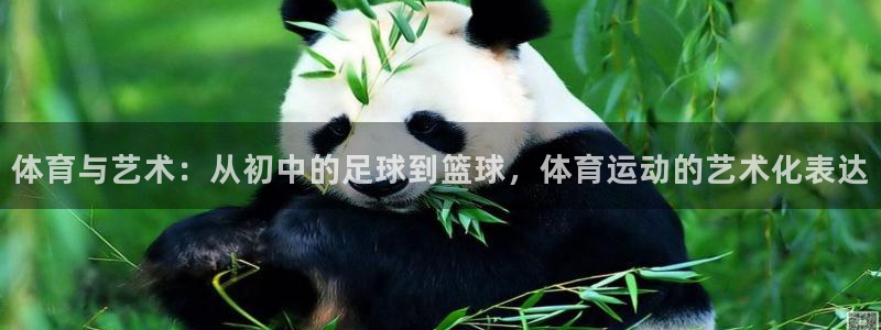 xc体育：体育与艺术：从初中的足球到篮球，体育运动的艺术化表达