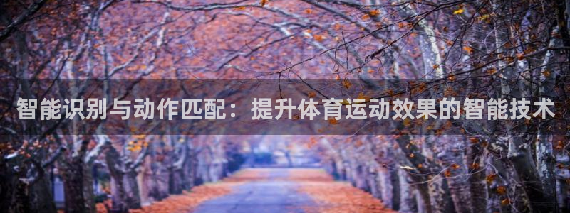 xc体育app官方网站：智能识别与动作匹配：提升体育运动效果的智能技术
