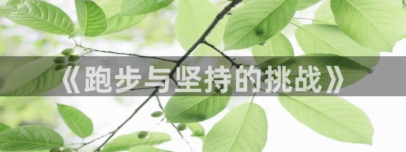 xc体育