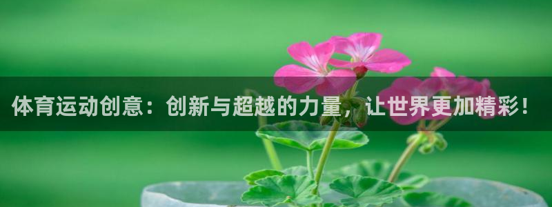 xc体育