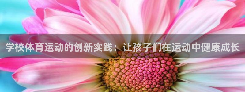 xc体育app官方网站