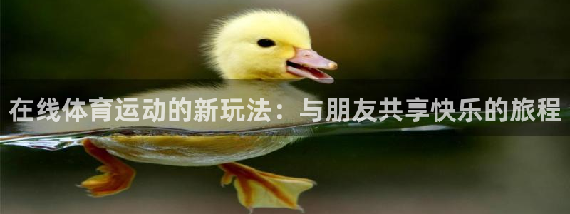 xc体育app官方网站：在线体育运动的新玩法：与朋友共享快乐的旅程