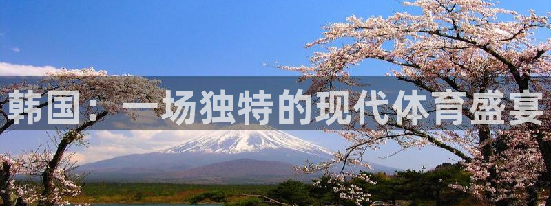 xc体育app官方网站：韩国：一场独特的现代体育盛宴