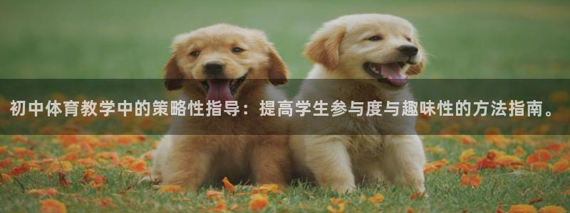 xc体育：初中体育教学中的策略性指导：提高学生参与度与趣味性的方法指南。